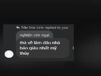 vãi lồn