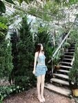 Ở đây chỉ có sự dễhuông