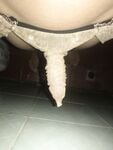 2ka9 mặc quần con voi=))