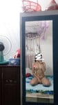 Album học sinh thủ dâm