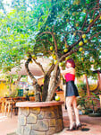 Chị xinh và dâm lắm 🥰