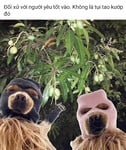 Thủ Dâm 🐧