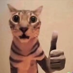 đố ae tìm đc ảnh vú này ở đâu
