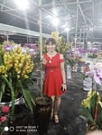 Mẹ tôi đó đẹp không