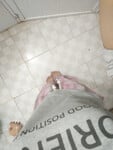 show hàng noc quyên ***