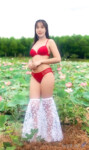 Giáo viên trường tôi