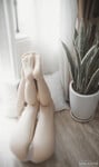 Ảnh em mâu ruột
