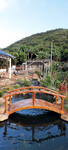 Ảnh quê
