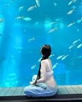 Lượm lặt vài pic ảnh trên mạng