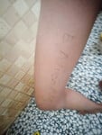 Em lệ quyên slave, móc, đái,liếm,colay chó, móc cứt