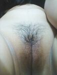moi nhu