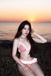 Con Quỳnh heo nái