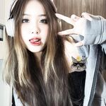 Con Quỳnh heo nái