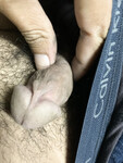 Cu ngủ ừi