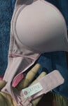 Soi đặc biệt 172