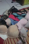 Soi đặc biệt 172