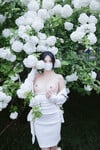 Sưu tập 11