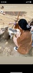 Thấy em ngon kh mấy a