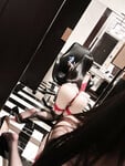 Album 156