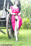 capdoi_tinhyeu