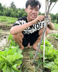 có em ghệ hay nungg