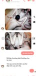 Độc lạ, Vợ cho Công ty địt tập thể vẫn chát sex voi chồnđược