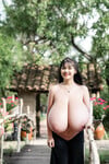 Dương ái vy