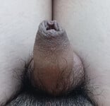 Con cu nhỏ