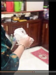 Ko mặc áo vú