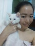 Malaysian