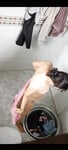 Abum mới dài 9p bao tê bím lông