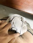 Quần lót của cô giáo