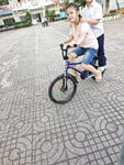 Duingonxinh