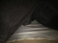 ‘.’ :))
