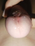 Cu non sục cu bắn tinh