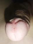 Cu non sục cu bắn tinh