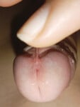 Cu non sục cu bắn tinh