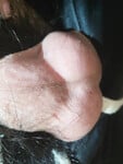 Lên tiếp cho mn nha