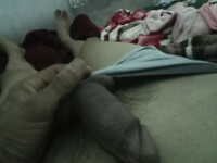 Lồn nhiều nước