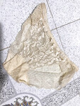 Ngửi mùi hương thơm quần lót