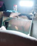 Gạ tình em gái 2