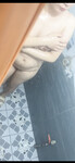 Bướm