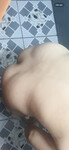 Bướm