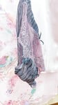 Ngâm rượu uống ngon đó