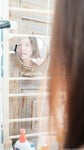 ngô ngọc tường vy onlyfans - phần 1