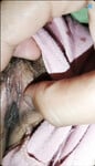 Sưu Tầm