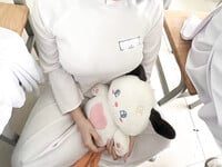 Soi 2