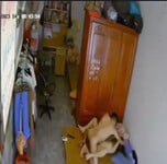 Ảnh sưu tầm