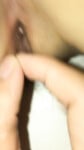 Full CHỊ HỌ GẠ ĐỊT DƯỚI MÔ TẢ