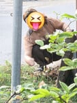 Chụp lén rồi dùng AI cở đồ chị hàn xóm mu to